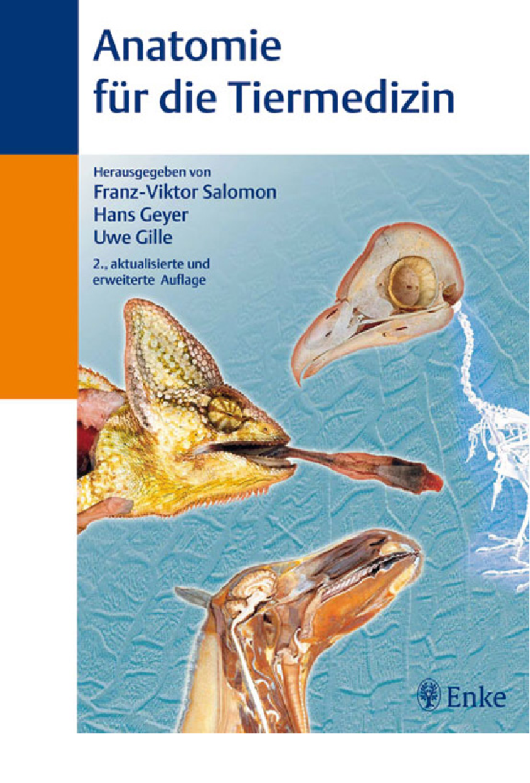 Anatomie für die Tiermedizin Salomon Pobierz pdf z Docer.pl