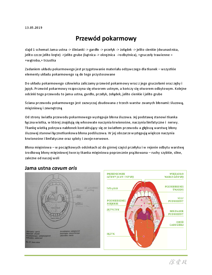 UKŁAD POKARMOWY wykład 11 Pobierz pdf z Docer.pl