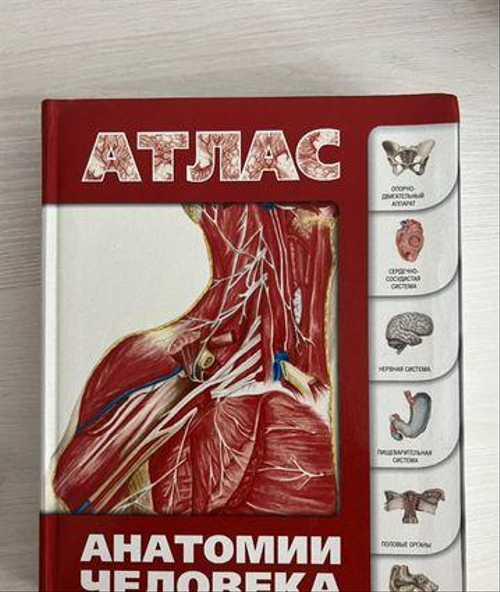 Атлас по гистологии Festima.Ru Мониторинг объявлений