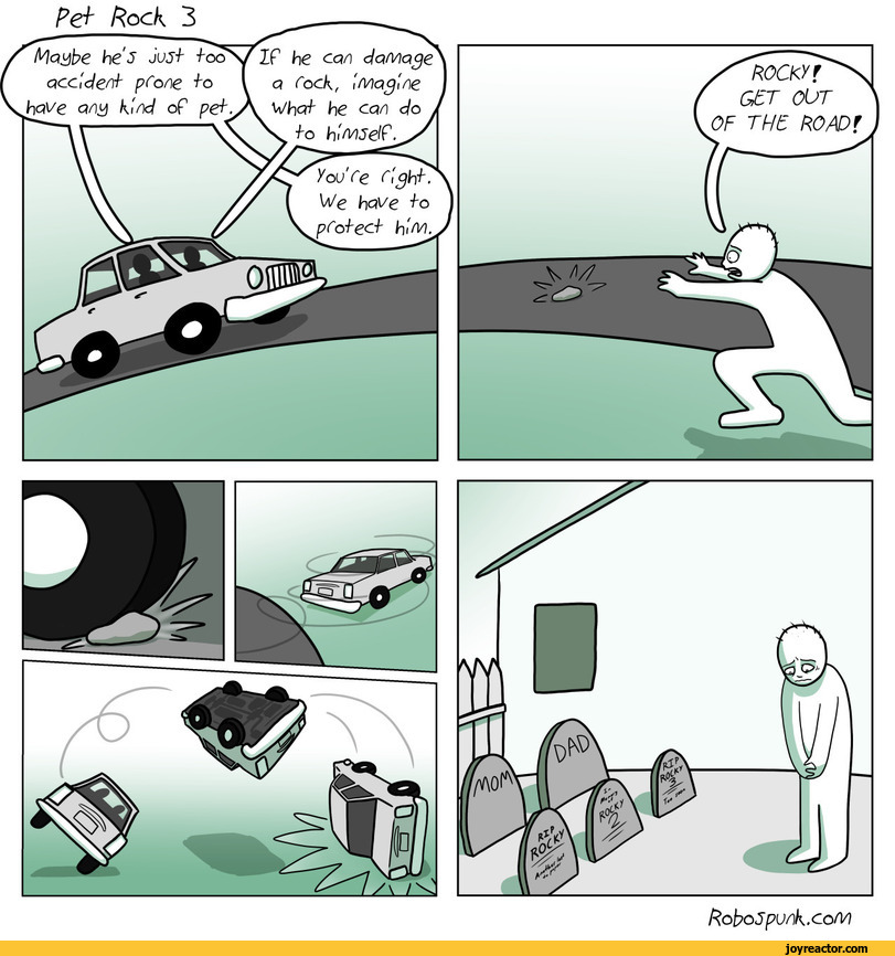 pet rock / funny pictures & best jokes comics, images, video, humor