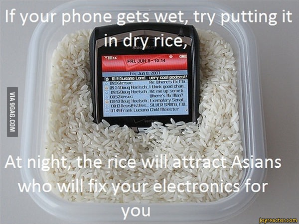 If your phone gets wet, try putting it/ in dry rice, . , / 9gag / funny pictures & best jokes