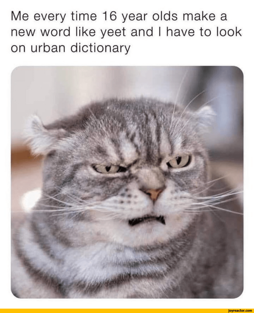Me every time 16 year olds make a new word like yeet and I have to