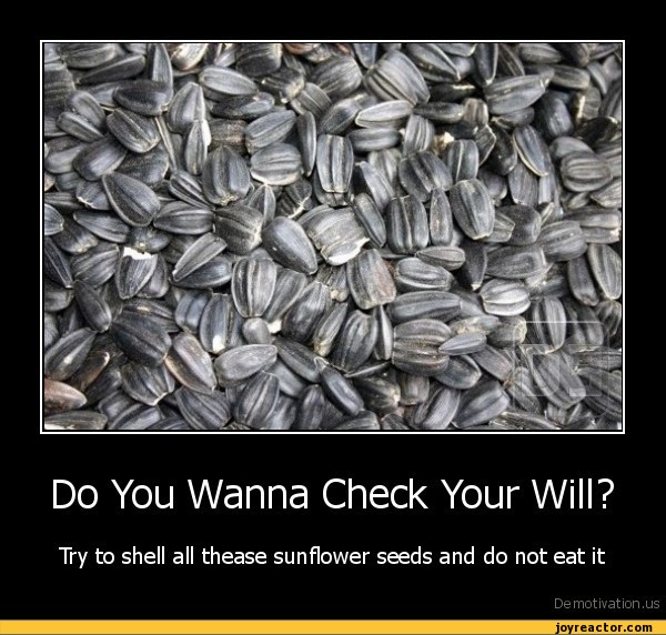 Do You Wanna Check Your Will?Try to shell all thease sunflower seeds