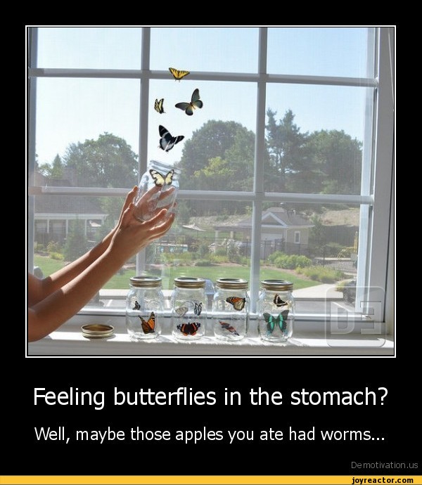 Feeling butterflies in the stomach?Well, maybe those apples you ate had