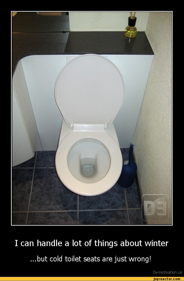 I can handle a lot of things about winterbut cold toilet seats are