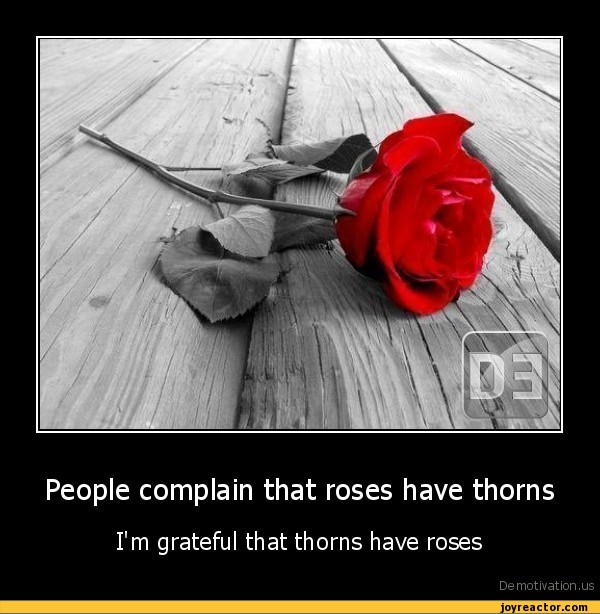People complain that roses have thornsI'm grateful that thorns have