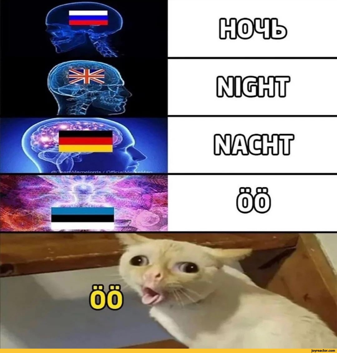 meme pictures, memes and posts on JoyReactor