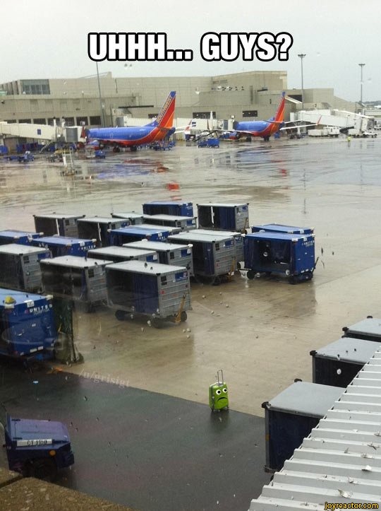 luggage pictures and jokes / funny pictures & best jokes comics