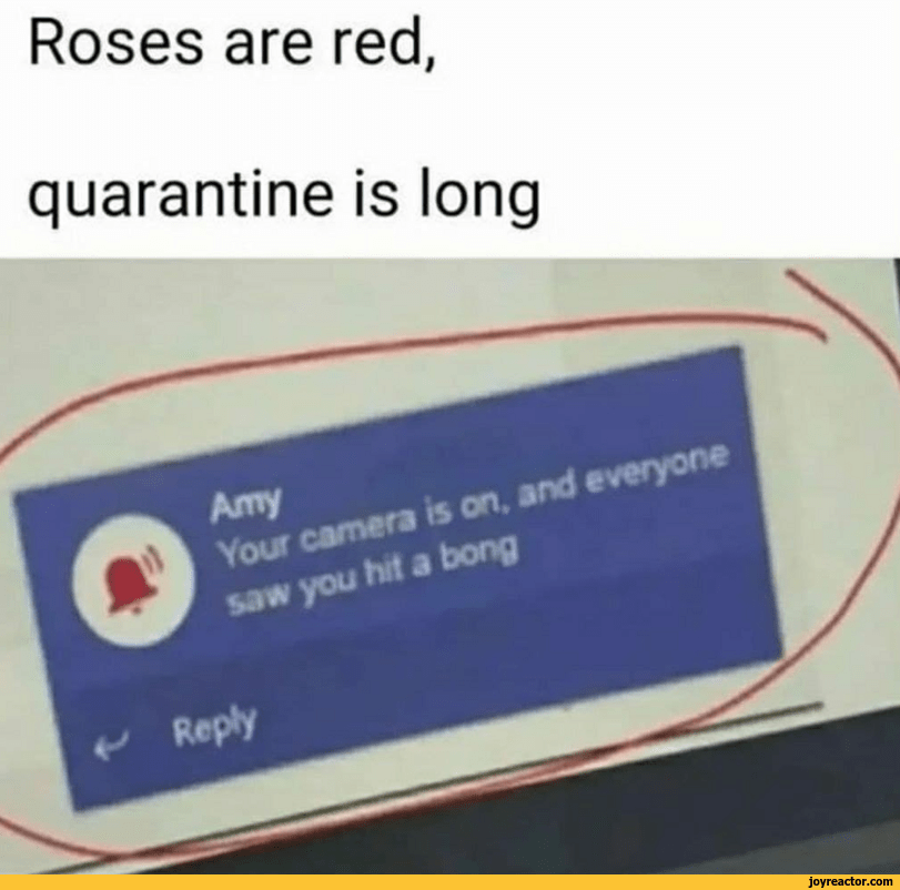 Roses are red, quarantine is long / screenshot caption JoyReactor