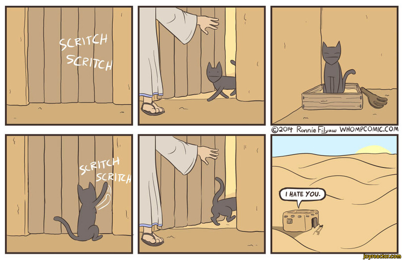 Damn cats / cat litter desert cat comics (funny