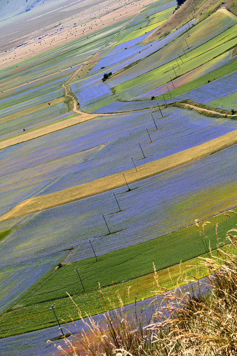 Il fuggiasco JuzaPhoto