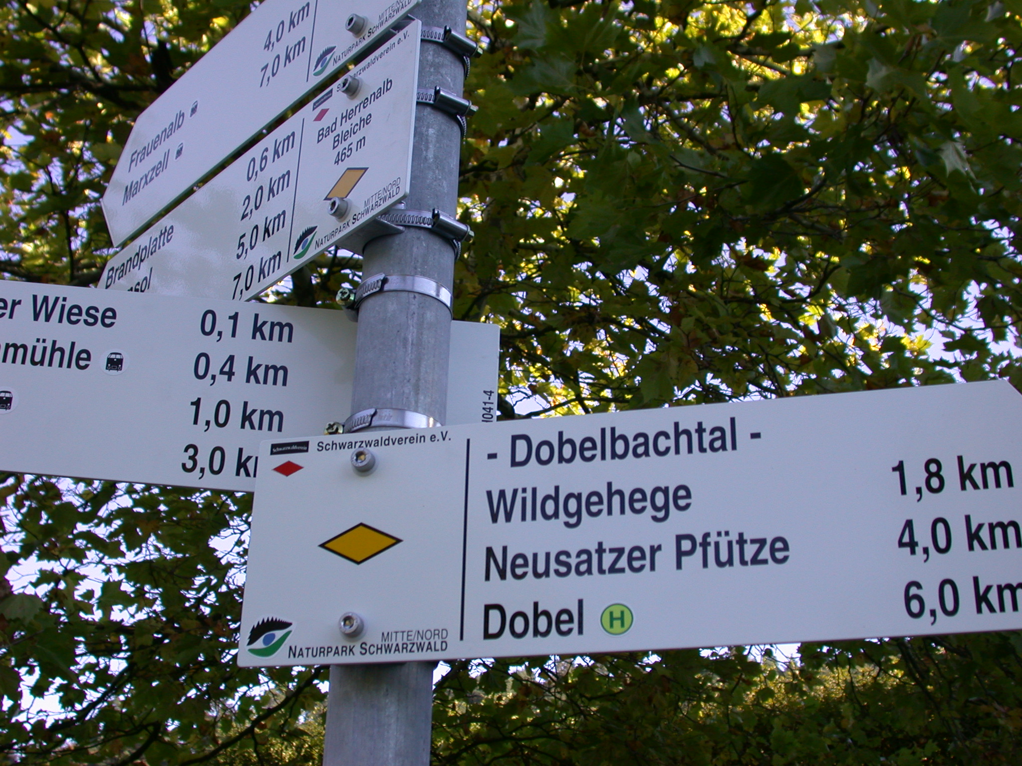 Rundweg Bad Herrenalb Dobel • Wanderung »