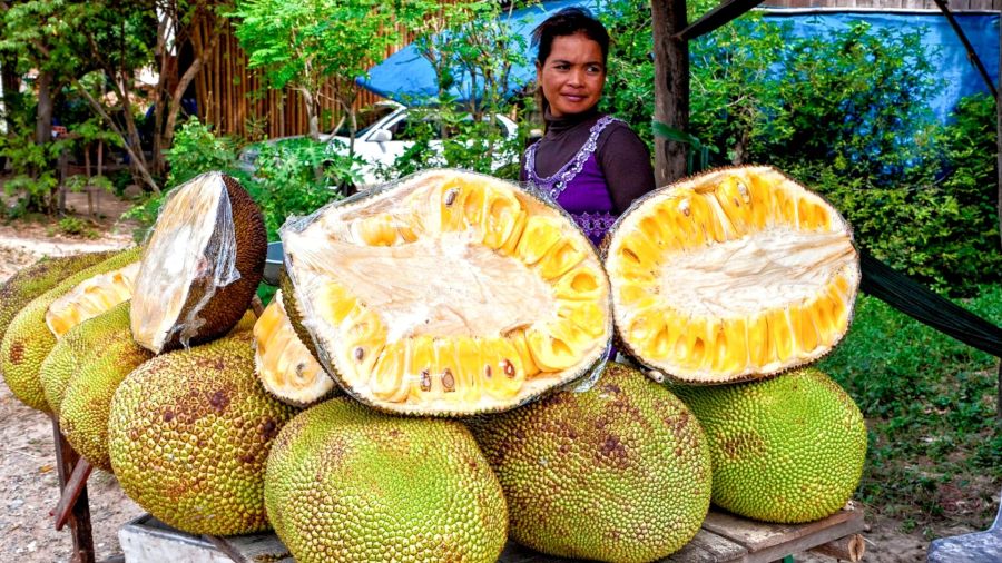 MasterChef ¿Qué es el jackfruit y para qué se usa?