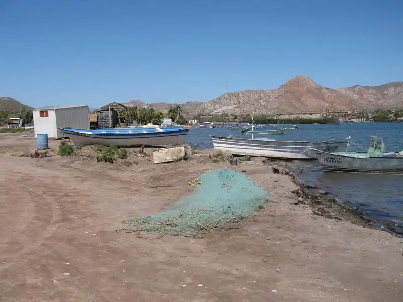 Fishing Mulege Bloodydecks