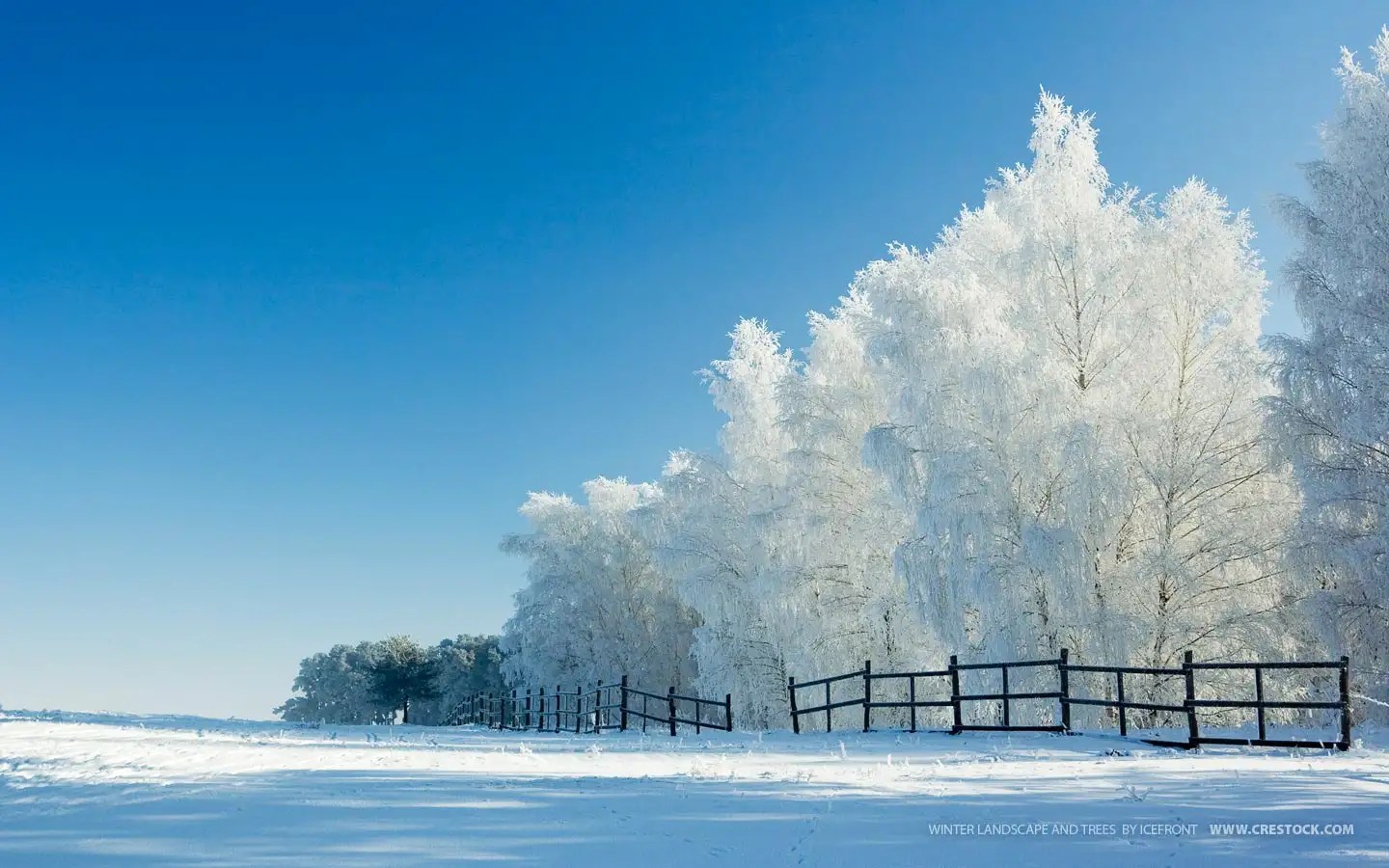 11 Fondos de Pantalla para Navidad Buena Calidad Árbol de Navidad, Campanas, Nieve y Más