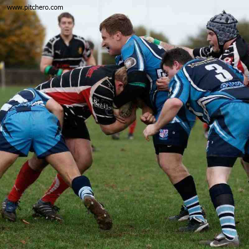 5 Best Universities for Sports