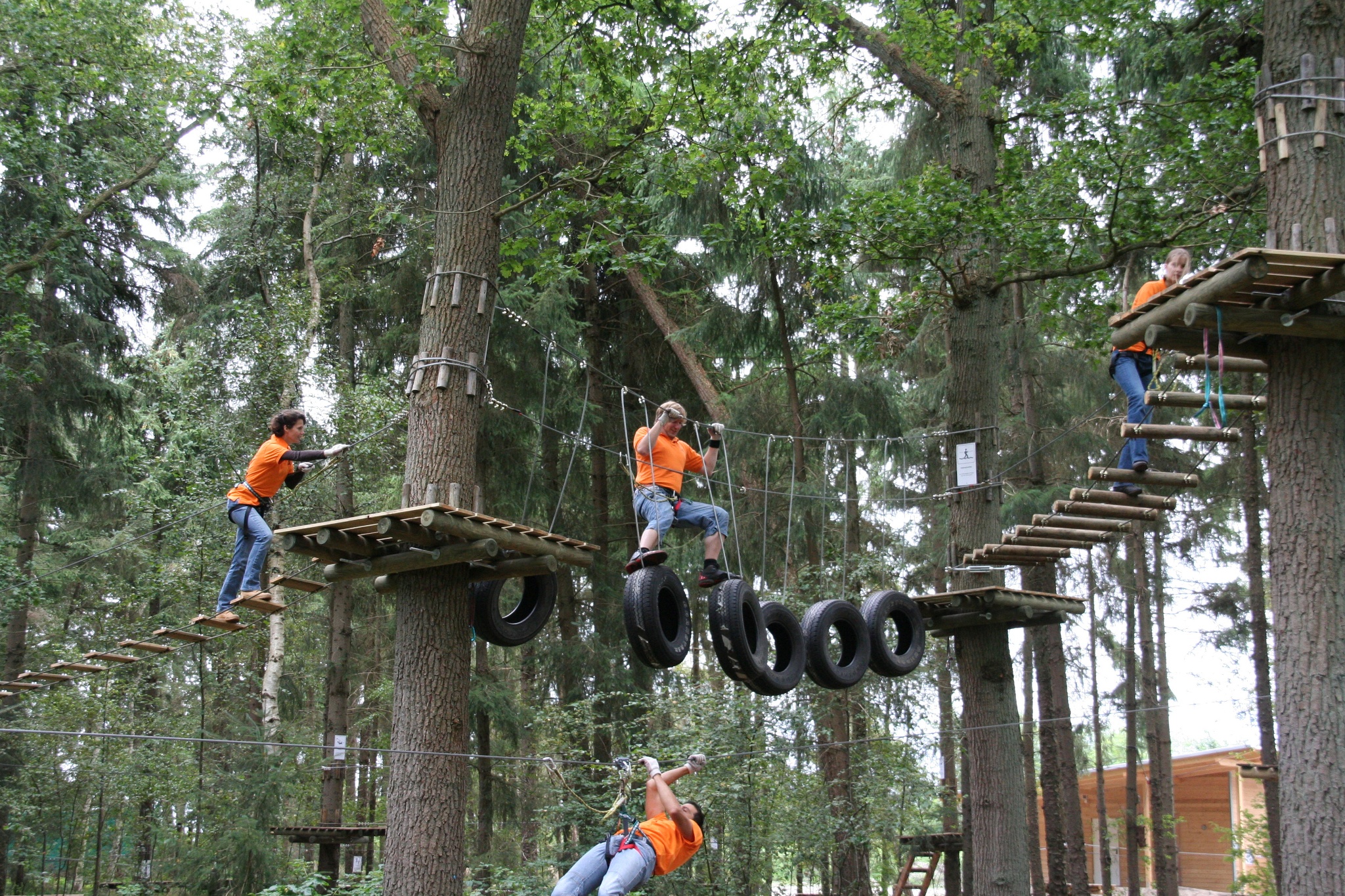 Kletterwald Buhl Activity Park • Klettern »