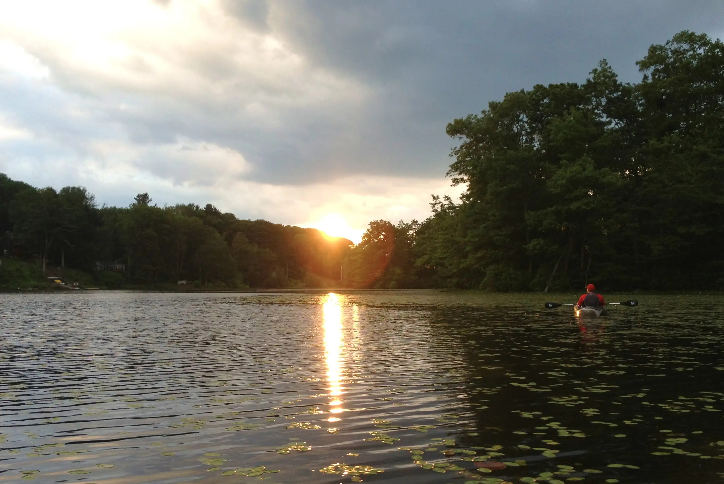 Long Meadow Pond 06/16 Connecticut Lake Reports ( CT