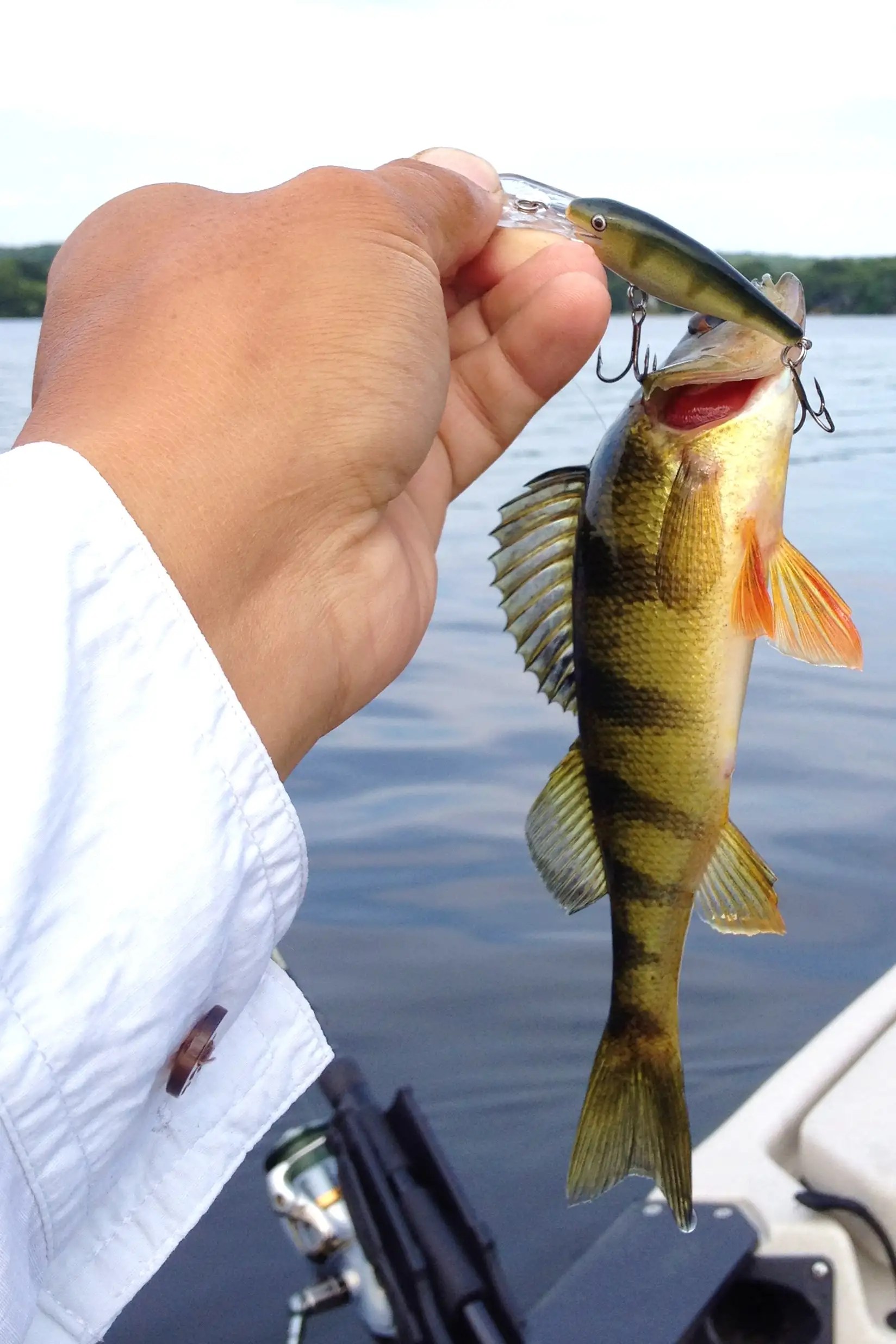 Rogers Lake 08/14 Connecticut Lake Reports ( CT Lake