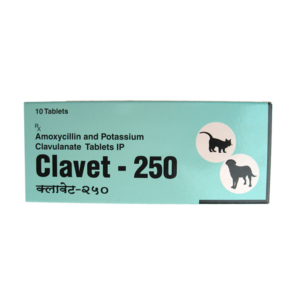 Cipla Clavet Antibiotic Tablets, Dogs and Cats 250 mg at Best Price in