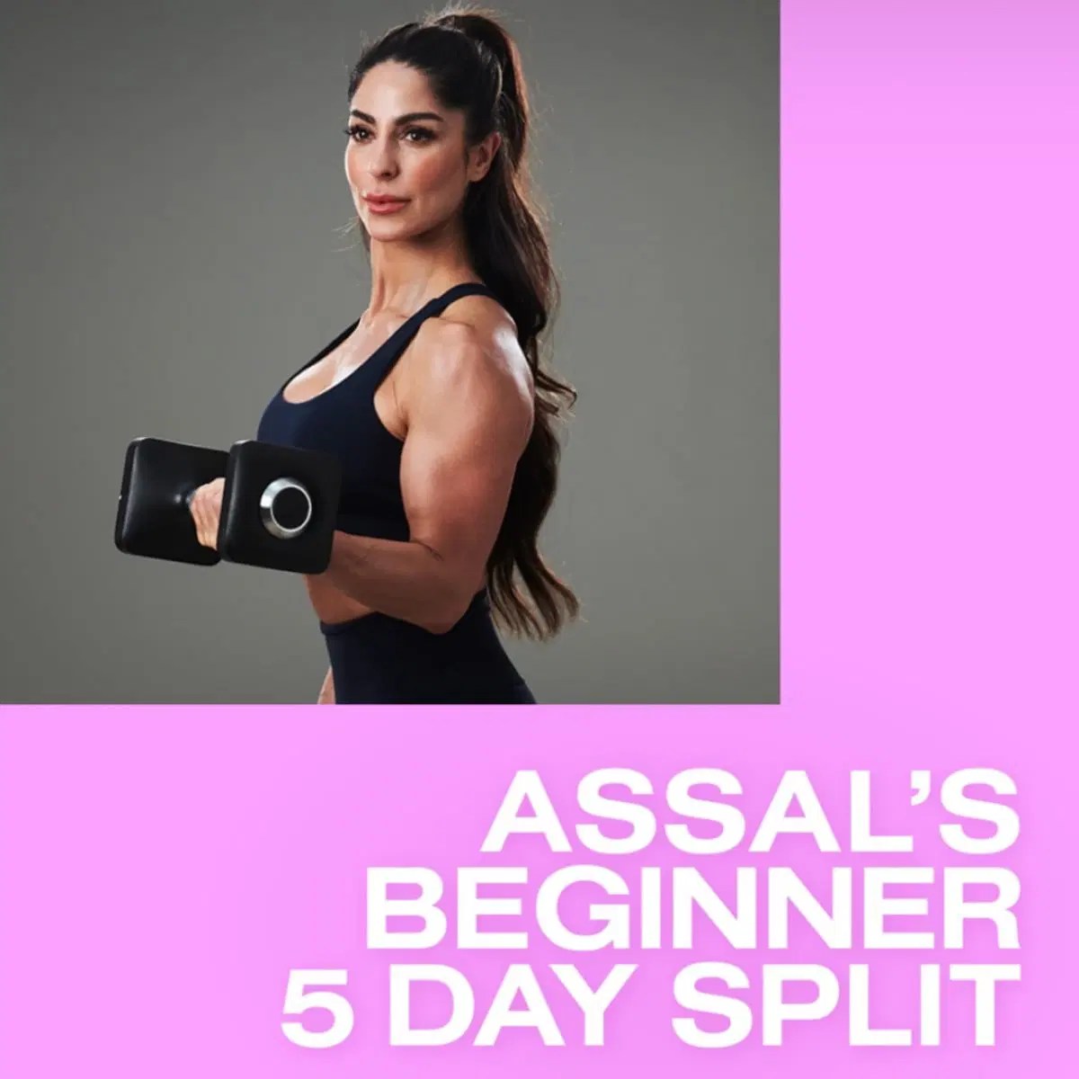 Assal Arian's Beginner 5 Day Split Strength Training Program in German