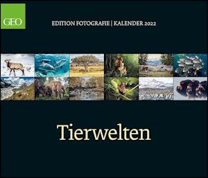 Få Geo Edition: Tierwelten 2022 - Wand-Kalender - 70X60 Af Som Bog I  Kalendere Format På Tysk