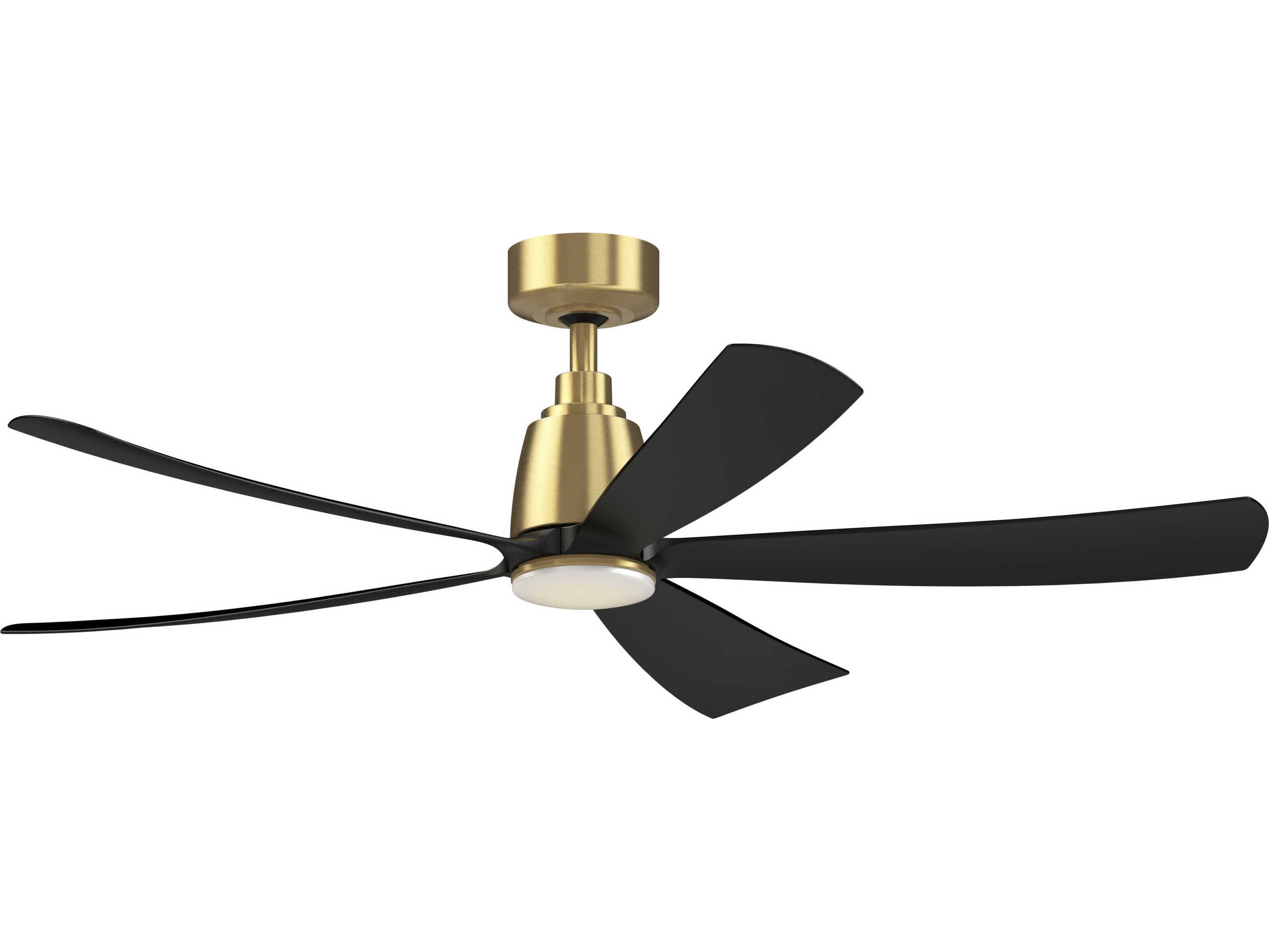 Fanimation Fans Kute5 Brushed Satin Brass 52'' Wide Indoor / Outdoor