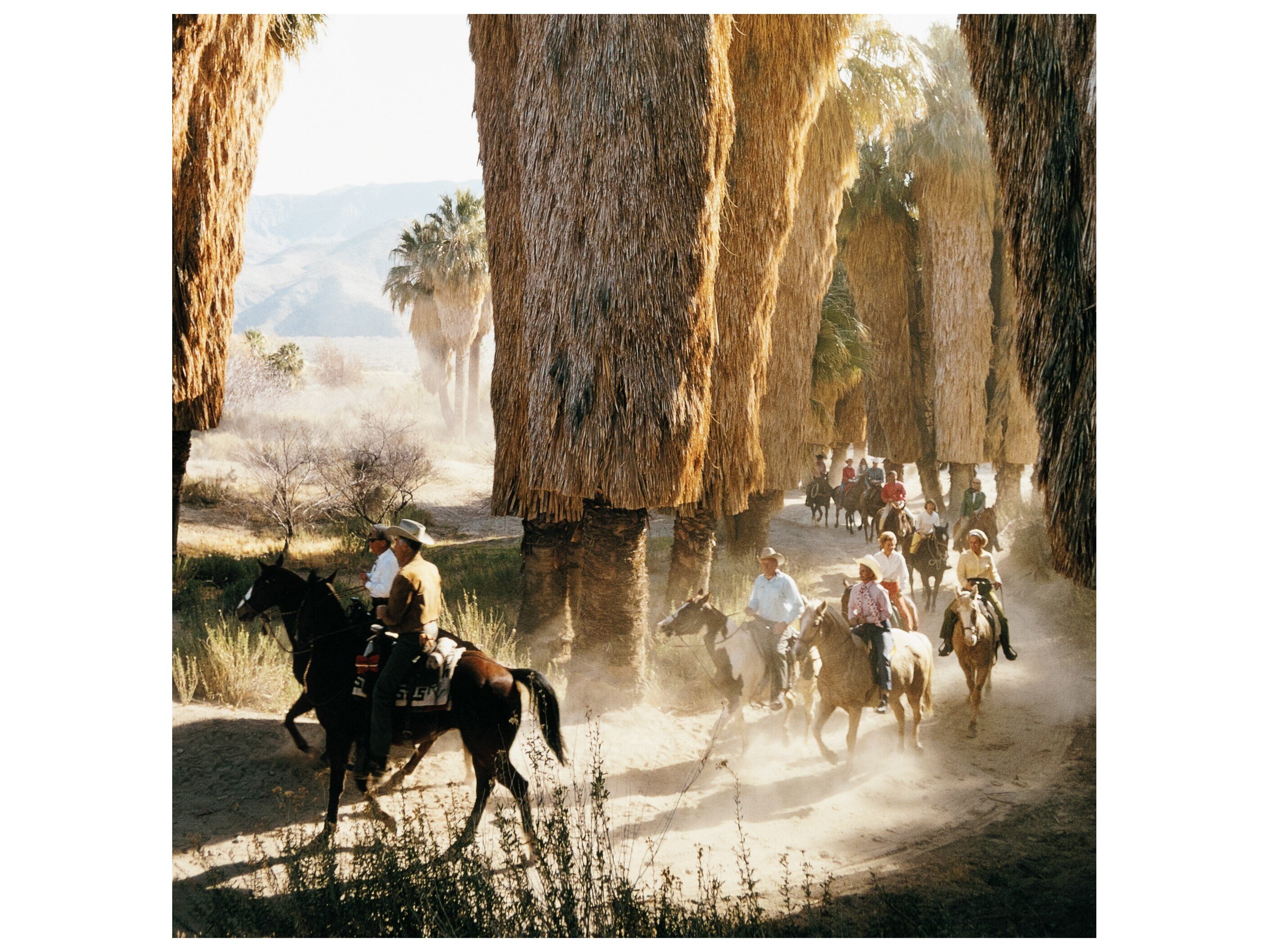 Four Hands Art Studio Palm Springs Riders by Slim Aarons Vertical Grain