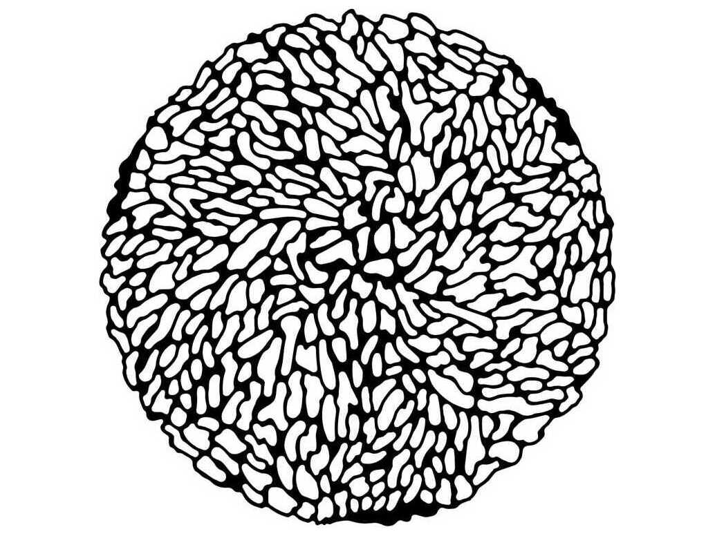 Kartell Outdoor Ttable Opaque Black Resin High Round Coffee Table