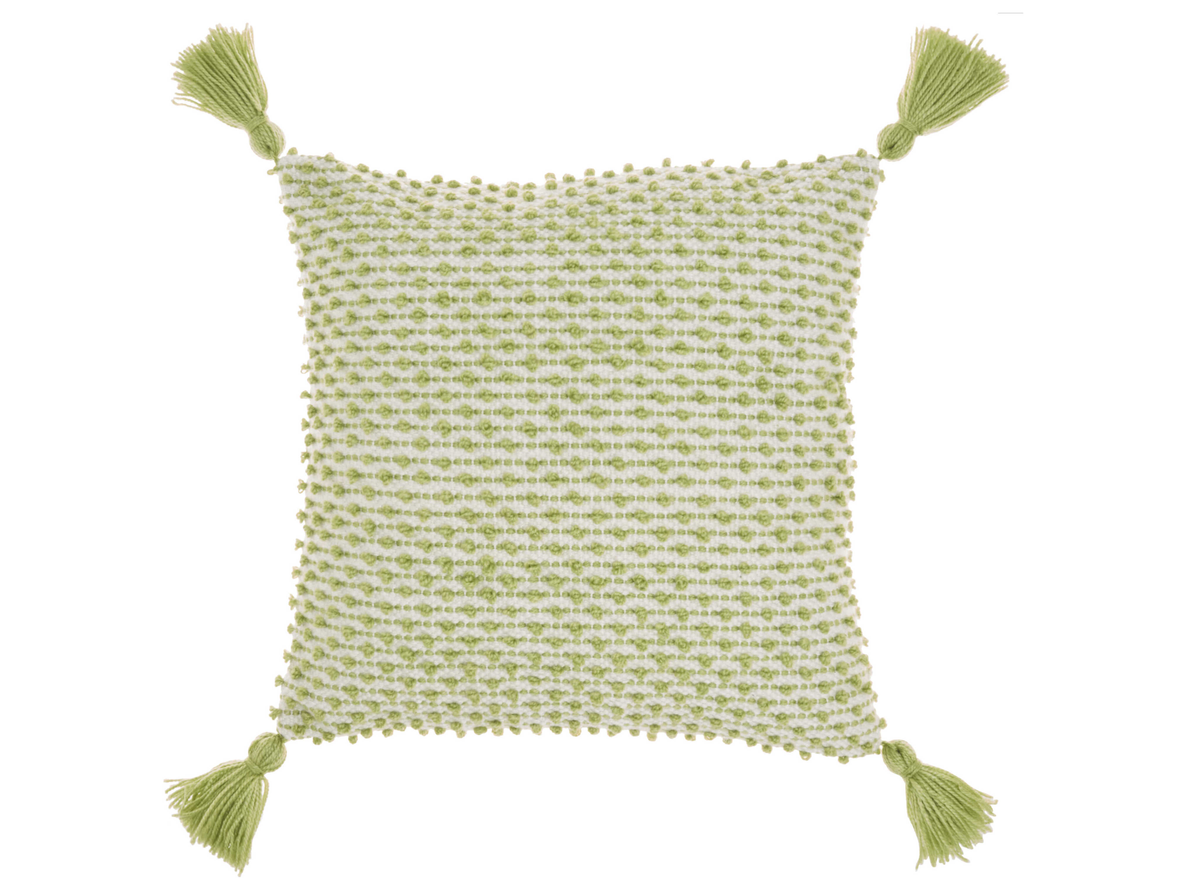 Nourison Outdoor Pillows Green 18'' x 18'' Pillow NRVJ025GREEN