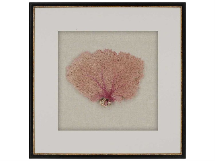 Paragon Sea Fan Shadow Box Wall Art PAD7236