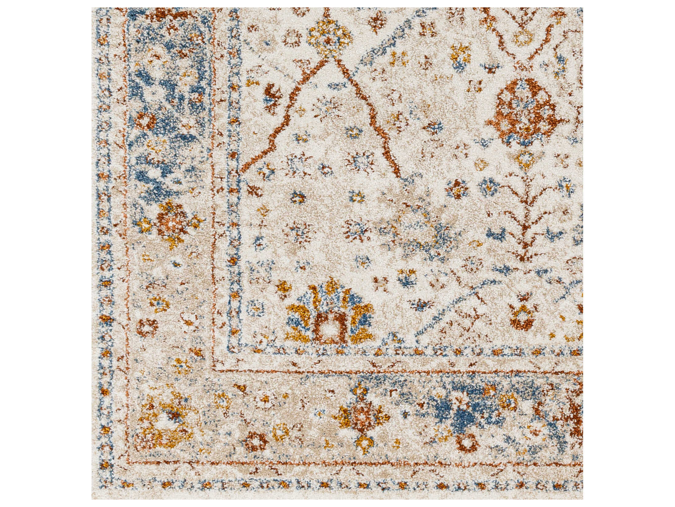 Surya Tuscany Bordered Area Rug SYTUS2330REC