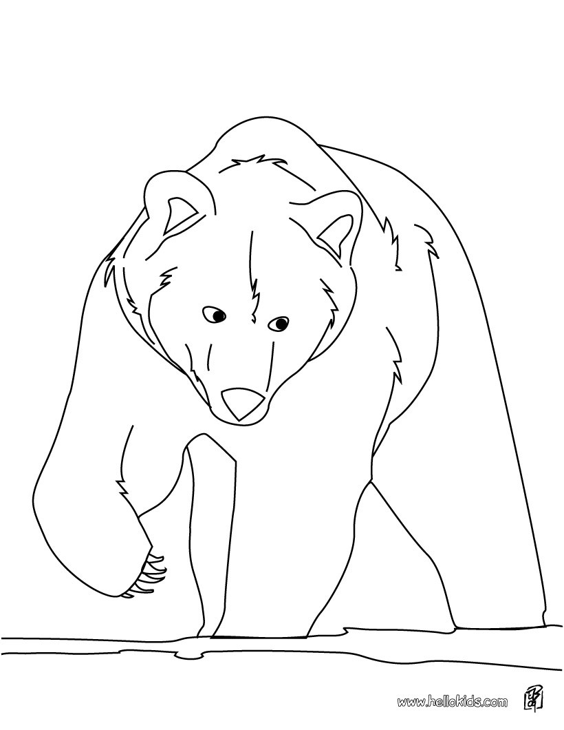 Braunbär zum ausmalen zum ausmalen