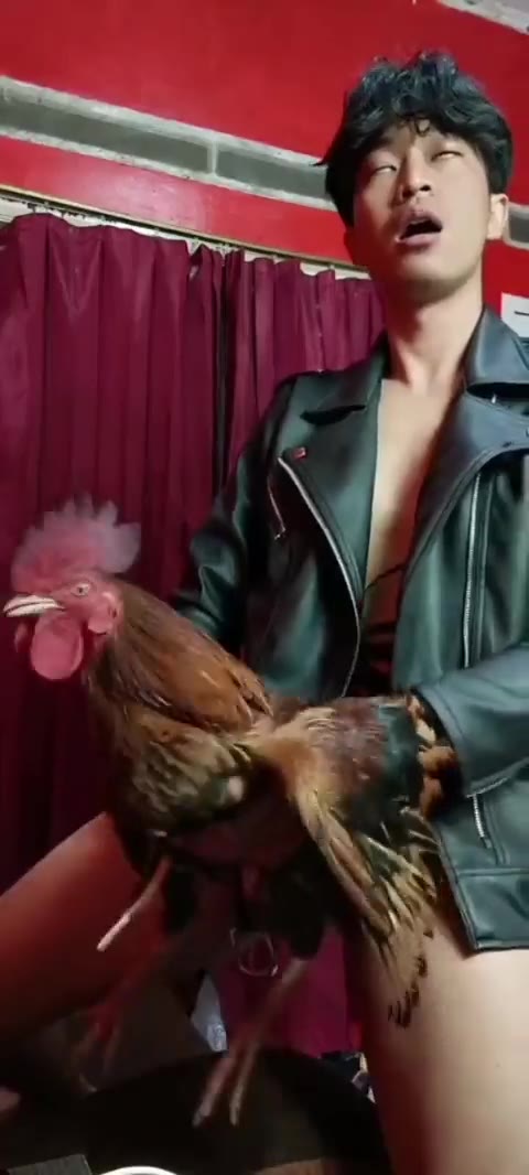 Ngewe Sama Ayam Toketbagus Com Video Indo Twitter