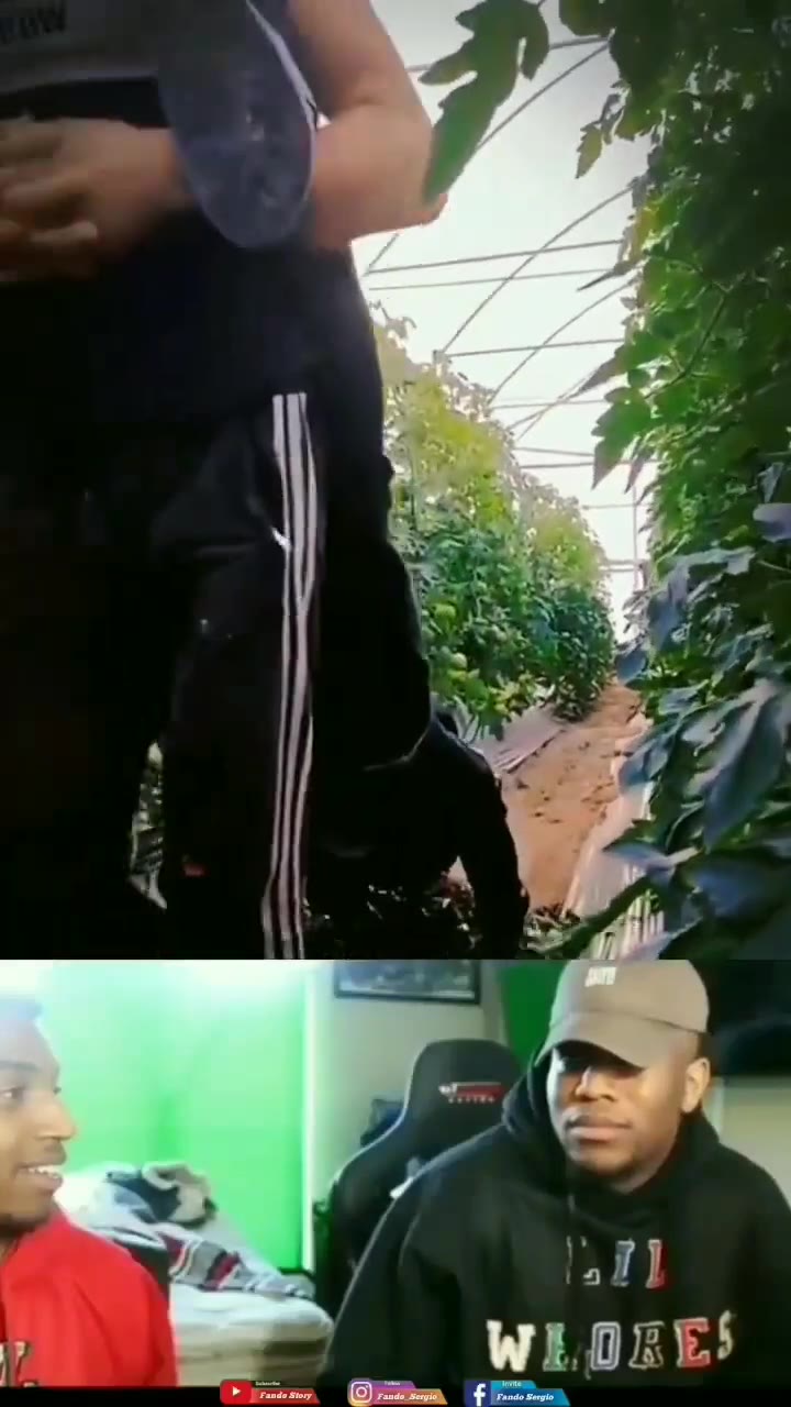 Vidio Lucu Part Bikin Ngakak Short Viral