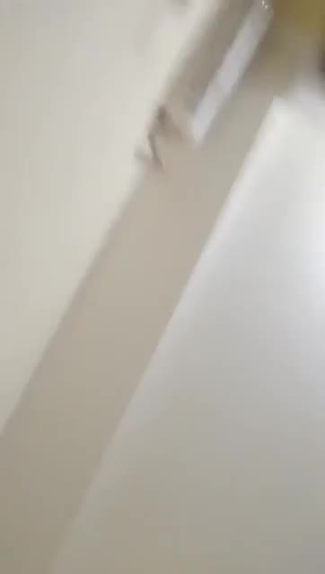 Rugi Ngga Nonton Cewek Indo Putih Behel Colmek Porn Kai Com S
