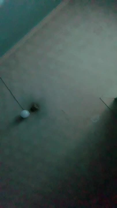 Netek Dan Jilmek Pacar Cantik Di Kosan Kimcilonly Urbaby Dood Stream