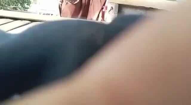 Abg Sma Seragam Pramuka Dood Stream Xpanas