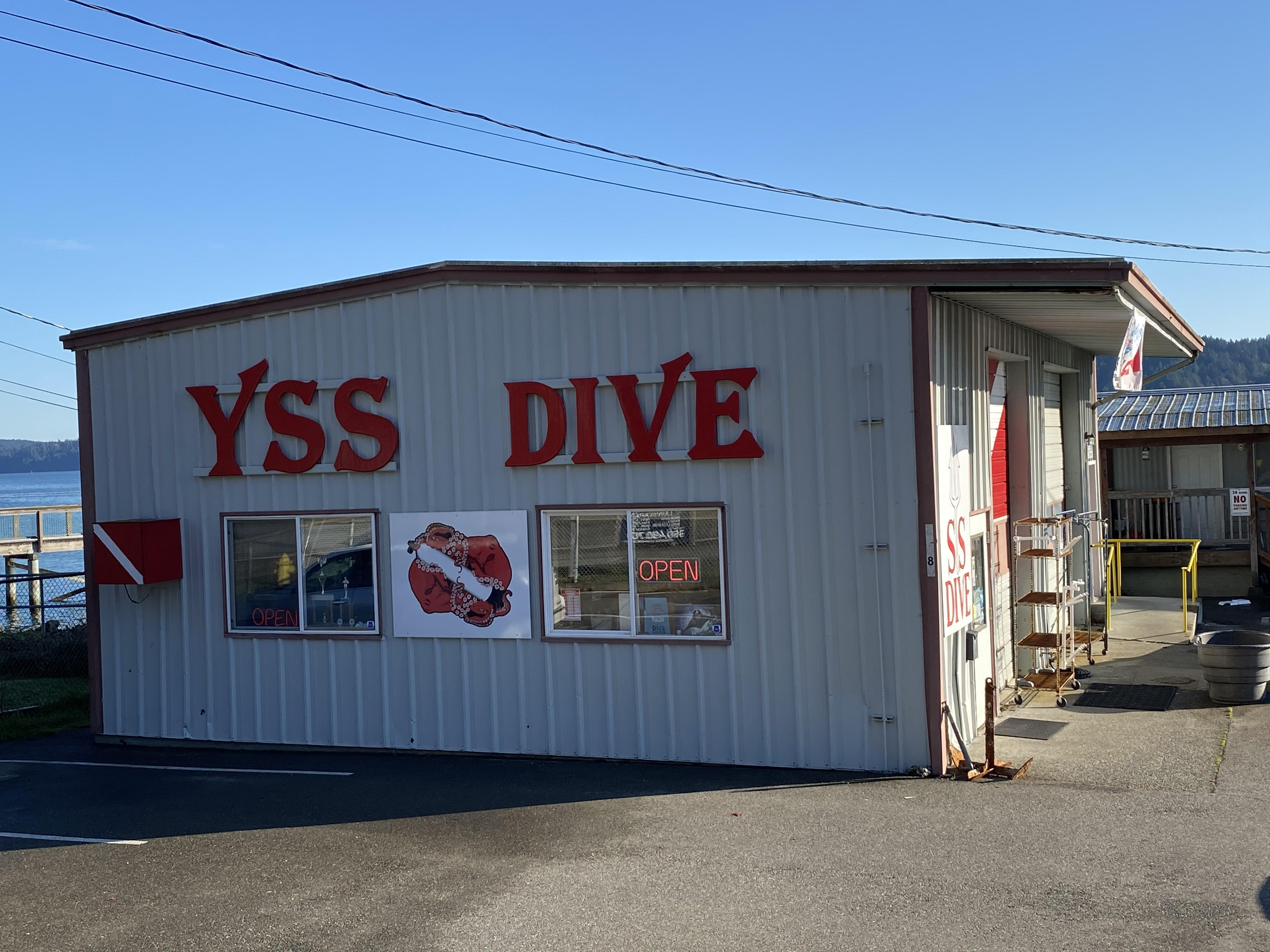 YSS Dive