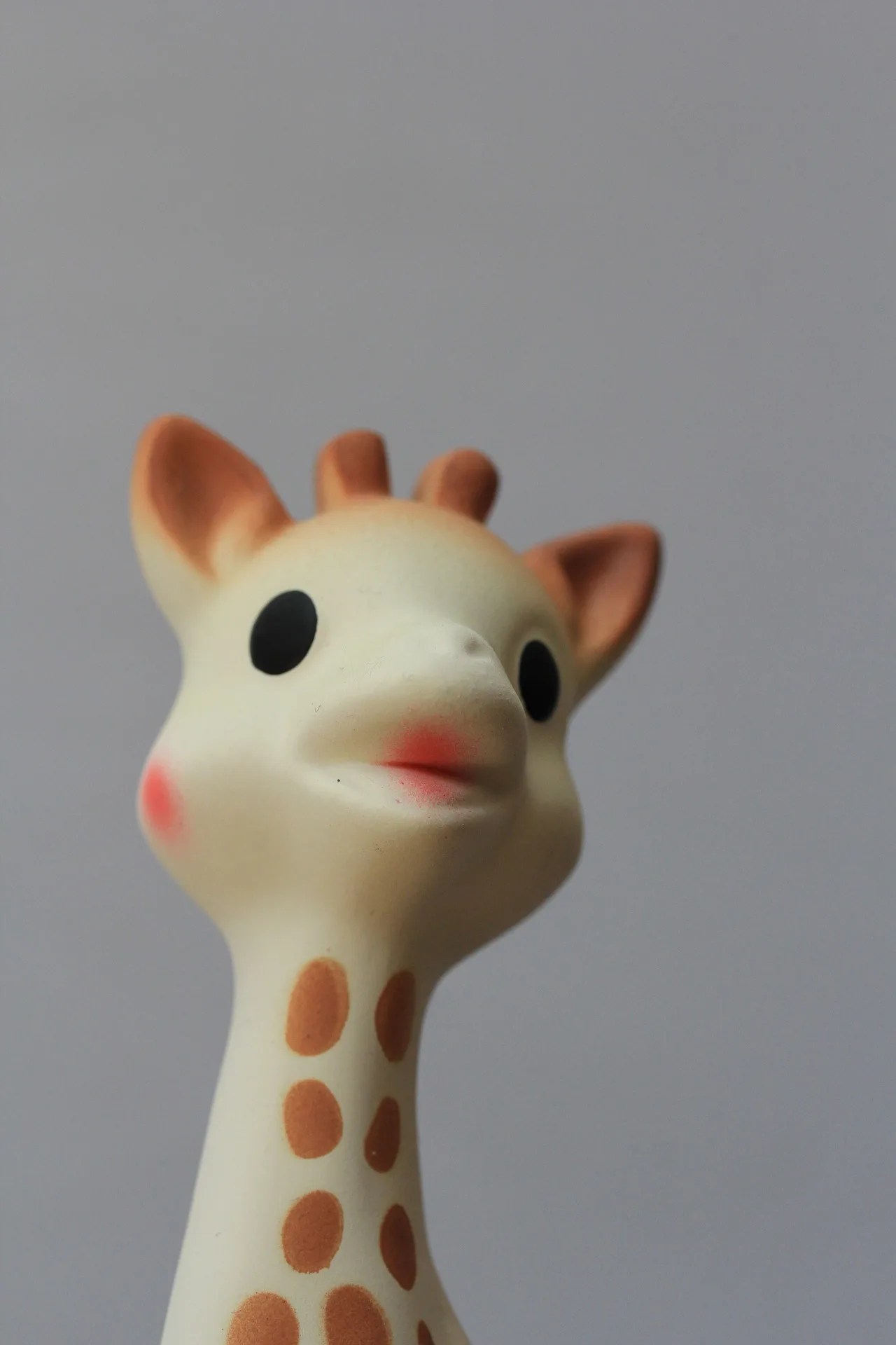 How To Check If Your Sophie The Giraffe Has Mold Without Cutting Her Open