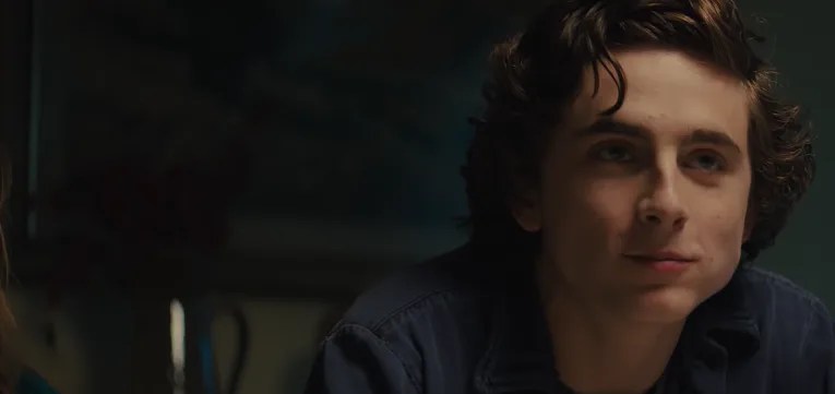 Timothée Chalamet Is A Struggling Drug Addict In The ‘Beautiful Boy’ Teaser