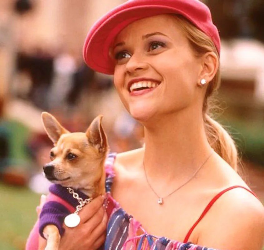 Bruiser Woods, The Dog From ‘Legally Blonde,’ Just Passed Away