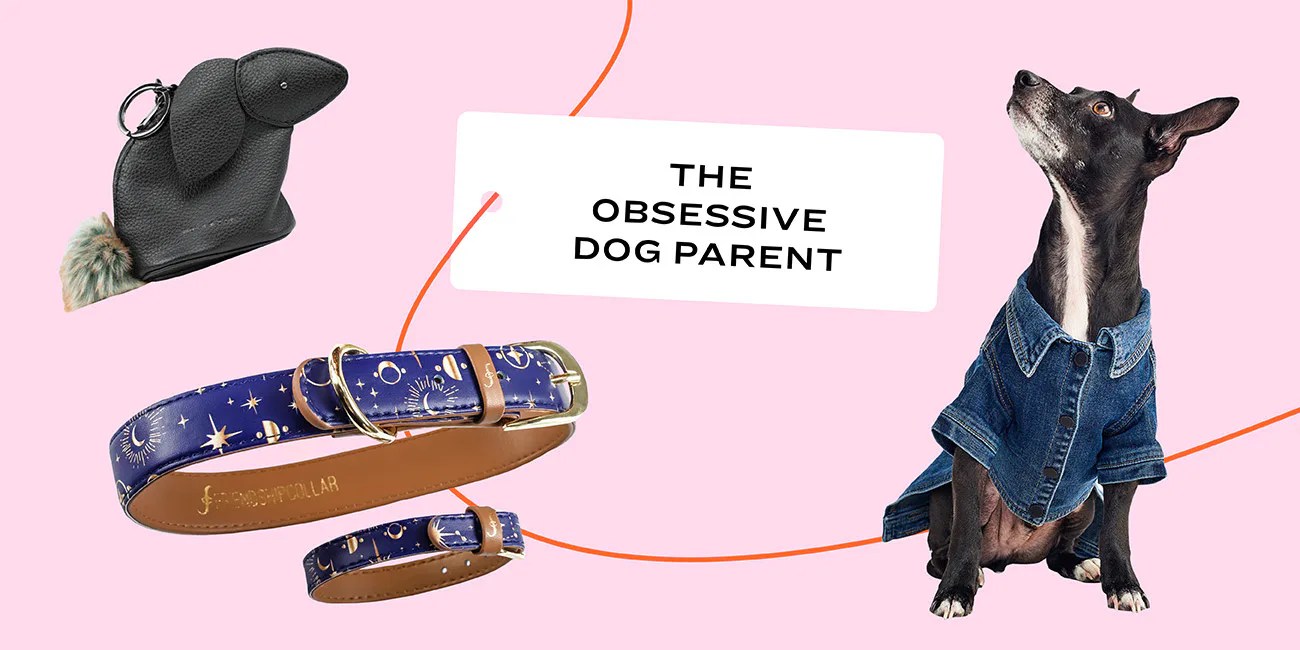 15 Best Gifts For The Dog Lover