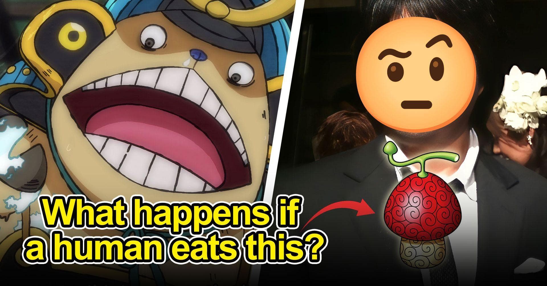 A 'One Piece' Fan Stumped Oda With A Devil Fruit Question And His