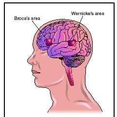 Central Nervous System Disorders & Diseases