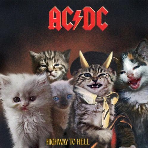 Genius Recreates Album Covers Featuring Cats