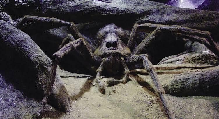 All The Harry Potter Pets, Ranked