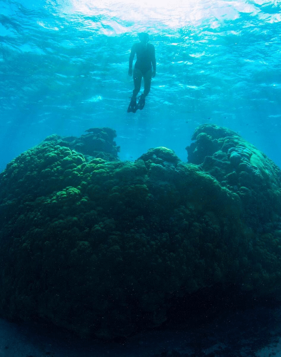 Start Planning Your Next Getaway And Bliss Out In SunSoaked Gladstone