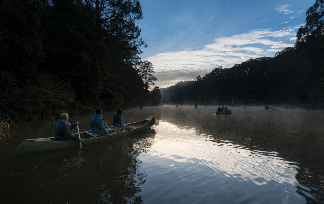 The Best DogFriendly Camping Spots In Victoria URBAN LIST MELBOURNE