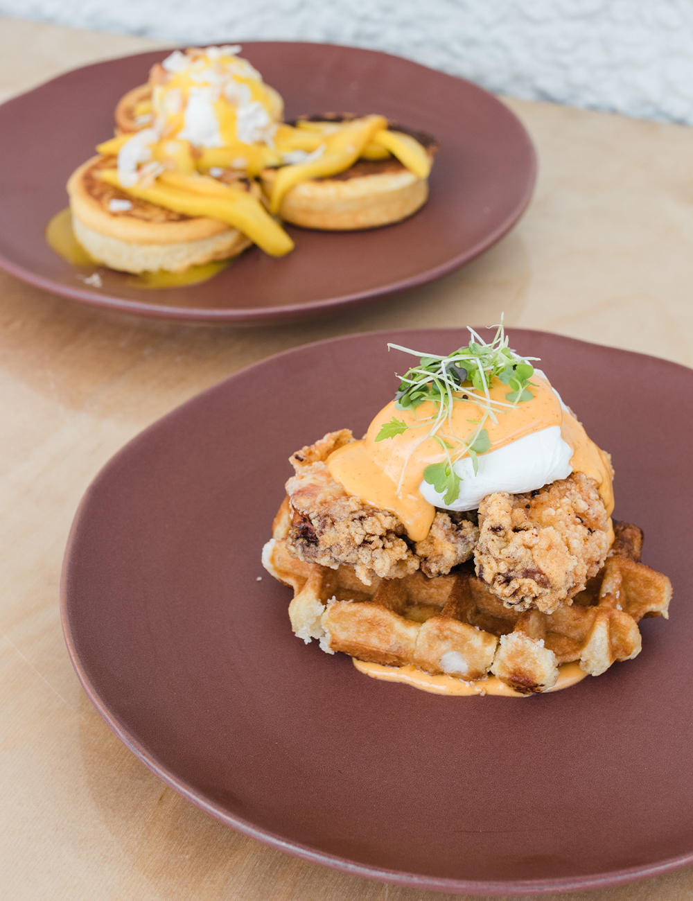 Gold Coast Favourite Bear Boy Espresso Just Opened In Windsor For All